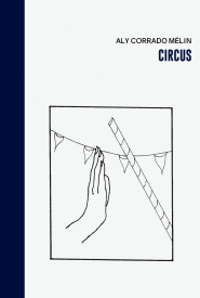 Circus (Reseña)
