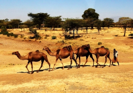 Transporte en Etiopía 
